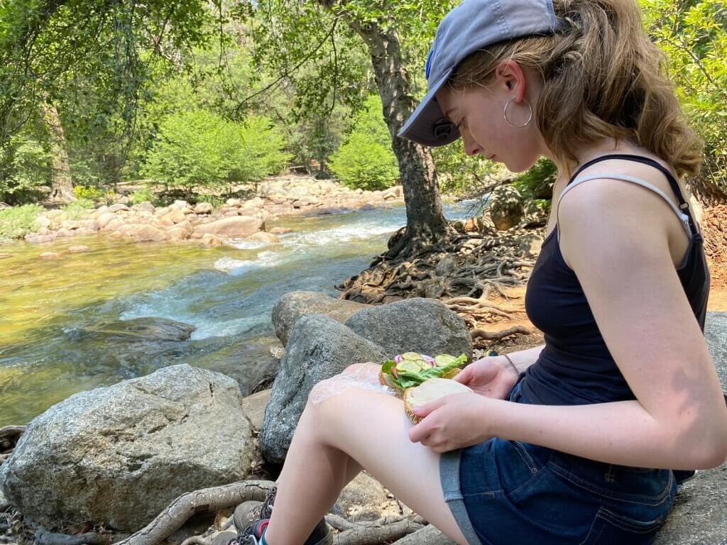 Daisy sitting on rocks by a river in a forested area.