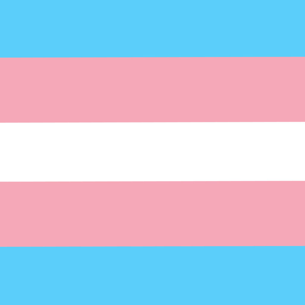 The transgender flag