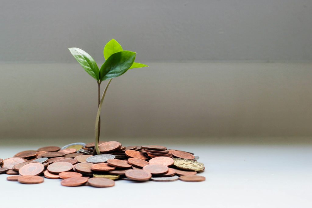 A photo of a plant growing from coins