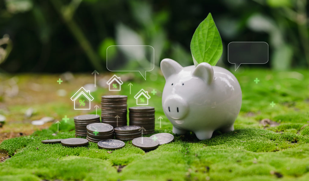 A white piggy bank sits amidst stacks of coins and lush greenery, symbolizing savings, investments, and financial growth in a vibrant, natural environment.