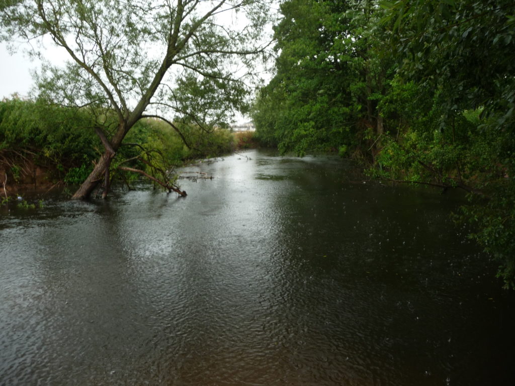 A photo of the River Tone