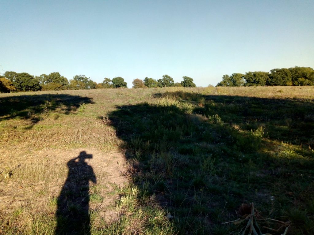 Looking out at Norton Camp Hill Fort, Norton Fitzwarren on a sunny day